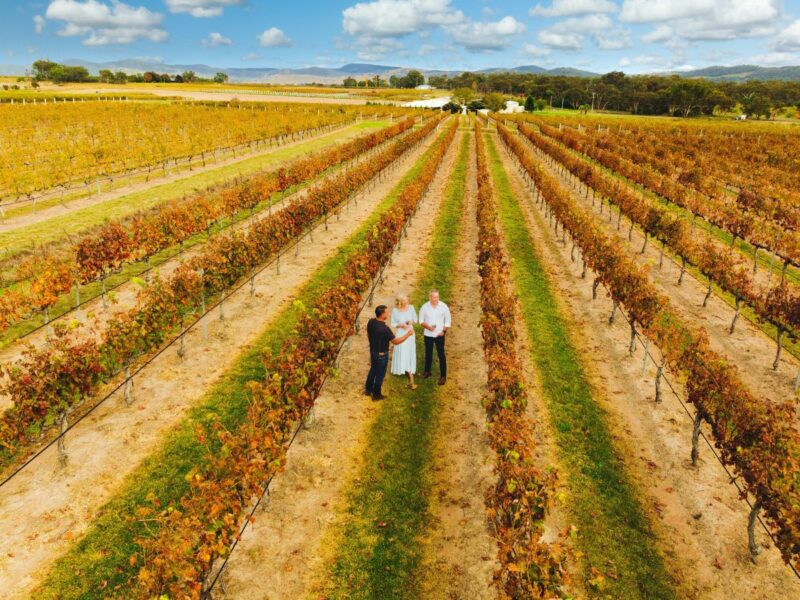 Autumn in Granite Belt Vineyard - Tobin Wines