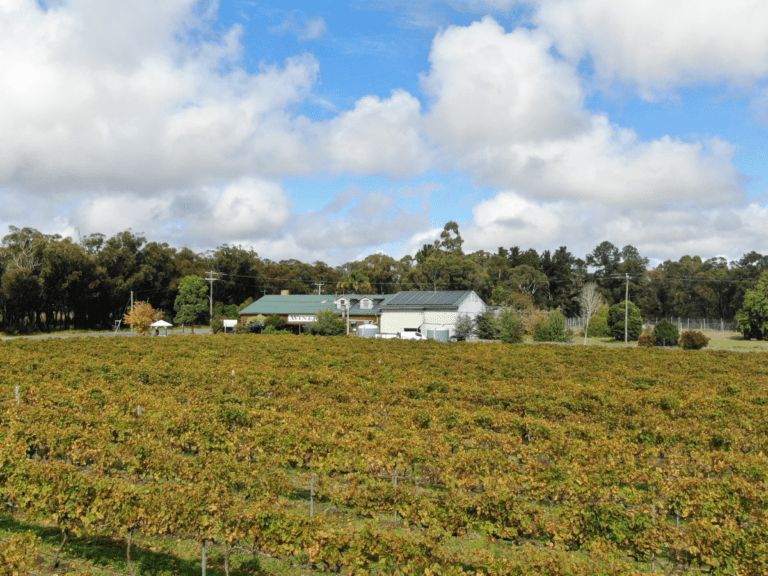 Things To Do In Stanthorpe During Apple Harvest Season Granite Belt Wine Country